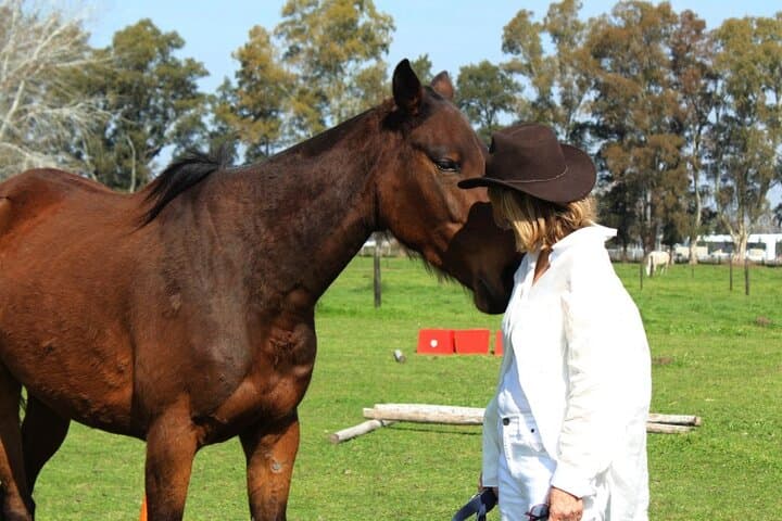 Equine Coaching in Buenos Aires: Confidence Workshops with Gentle Horses photo 2