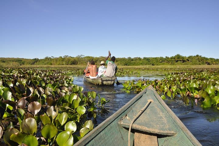 Chapada Diamantina: 4-Day Lençóis Adventure — Caves, Waterfalls & Mini Pantanal