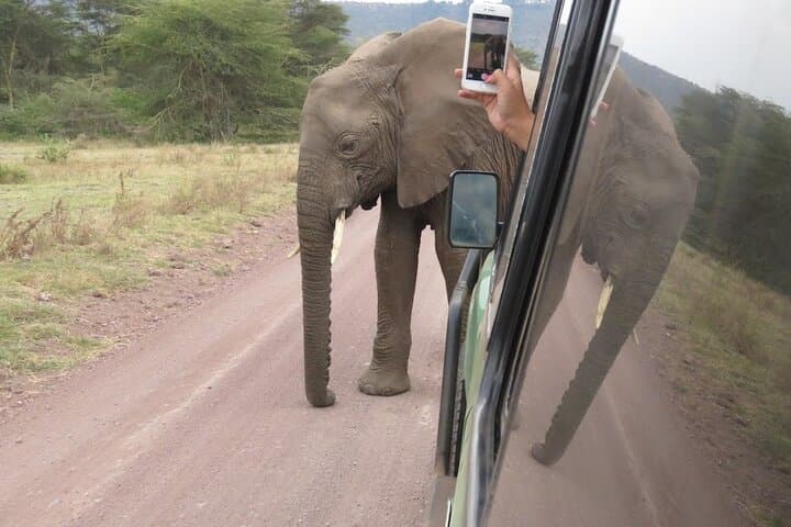 2-Day Tarangire & Ngorongoro Crater Safari from Arusha photo 2