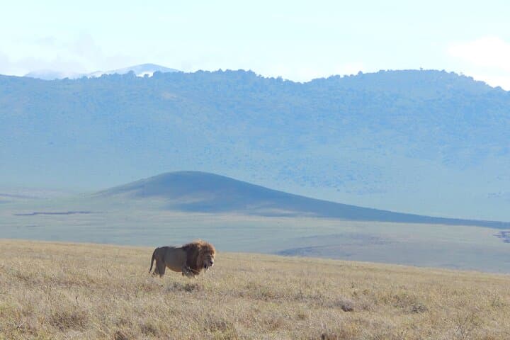 2-Day Tarangire & Ngorongoro Crater Safari from Arusha photo 3