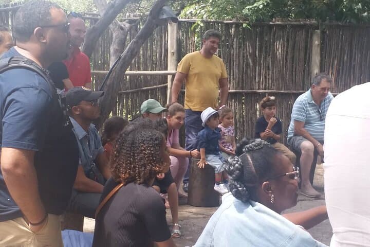 Lesedi Cultural Village Tour — Traditional Dance, Village Walk & Local Lunch from Johannesburg photo 6