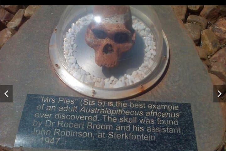 Explore the Cradle of Humankind: Maropeng Museum & Sterkfontein Cave Tour photo 5