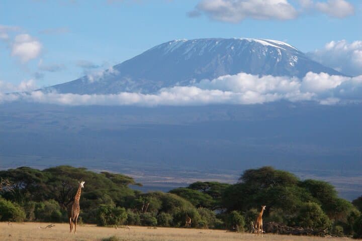 Climb Mount Kilimanjaro via the Machame Route — 6-Day Summit Guide photo 5