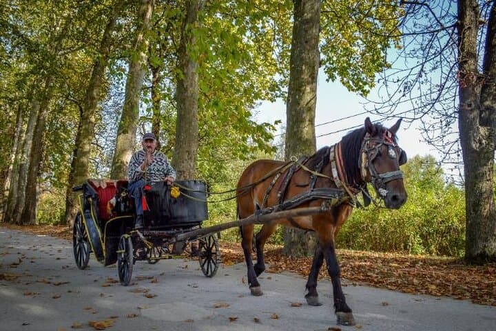 Private Horse-Drawn Carriage Ride along Sarajevo’s Great Alley to Vrelo Bosne