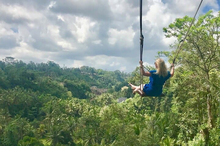 Tlaga Singha Infinity Pool, Jungle Swing & Tegallalang Rice Terraces Day Trip from Ubud photo 5
