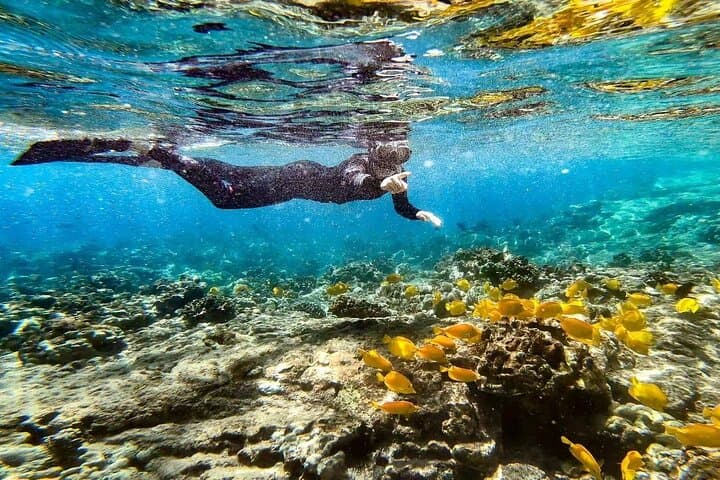 Kona's Deluxe Snorkel: Captain Cook Monument & Place of Refuge Adventure
