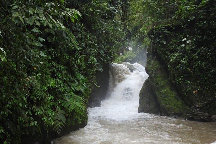 Mindo Cloud Forest Full-Day Tour: Hummingbirds, Waterfalls & Cable-Car Hike photo 4