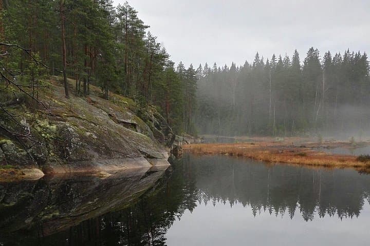 Half-Day Nuuksio National Park Hike from Helsinki — Lakes, Forests & Finnish Nature photo 2
