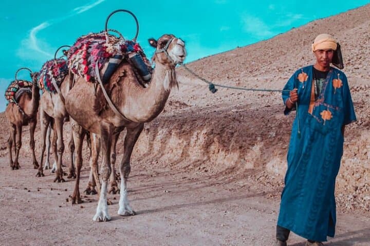 Agafay Desert Camel Ride from Marrakech - 1-Hour Dromedary Trek & Berber Tea photo 3