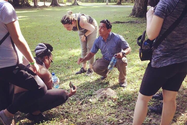 Tikal Private Day Tour: Full-Day Maya Adventure from Flores photo 4