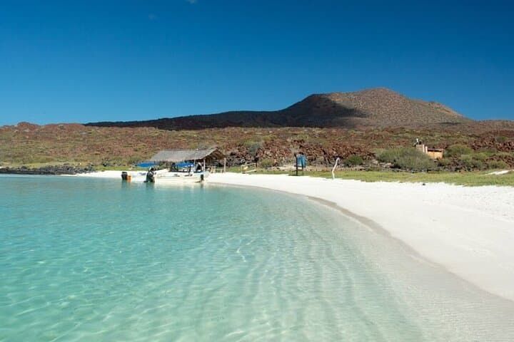 Coronado Island Day Trip from Loreto — Snorkel with Sea Lions in Loreto Bay photo 6