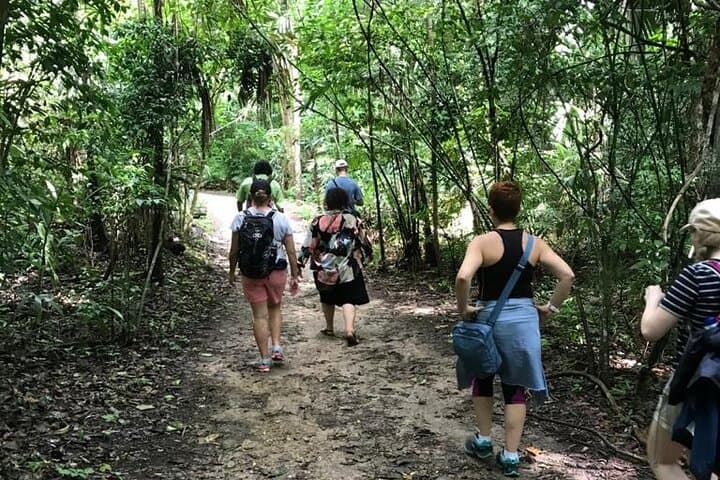 Tikal Private Day Tour: Full-Day Maya Adventure from Flores photo 5