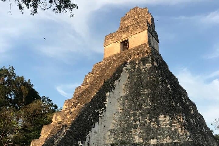 Tikal Private Day Tour: Full-Day Maya Adventure from Flores photo 6