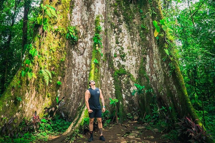 Río Celeste Walk: Day Hike to Tenorio Volcano National Park from La Fortuna photo 2