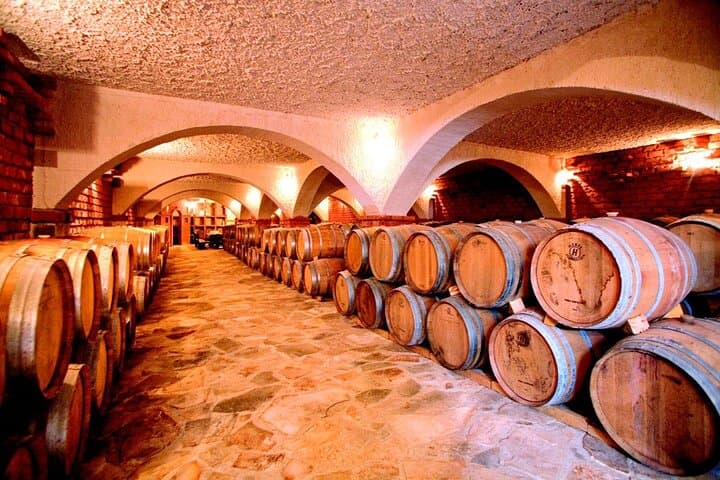 Peljesac Peninsula Food & Wine Day Tour from Split or Trogir photo 6
