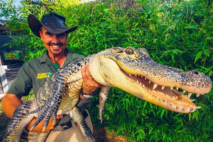 Explore Planet Exotica Royan: Reptiles, Bonsais & Jurassic Garden photo 2