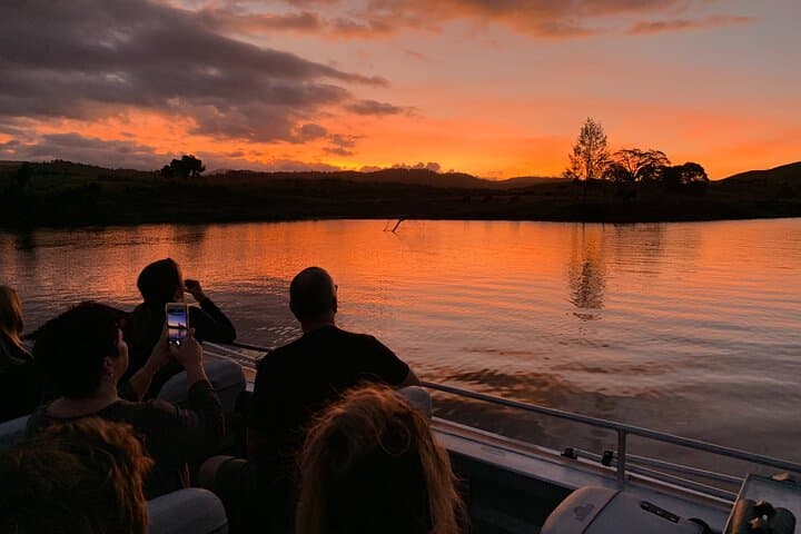 Daintree River Sunset Wildlife Cruise — Small-Boat Evening Tour