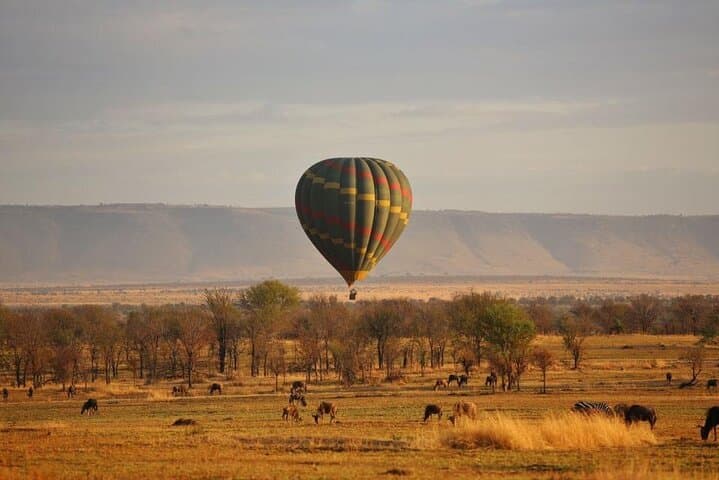 12-Day Tanzania Safari and Zanzibar Beach Escape photo 2