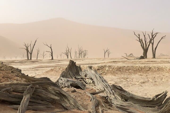3-Day Namibia Desert Camping Tour from Windhoek — Sossusvlei, Deadvlei & Sesriem photo 3