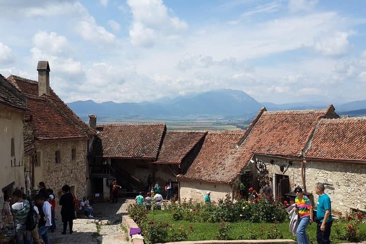 Brasov Day Tour: Bears Sanctuary, Bran Castle & Rasnov Fortress photo 4