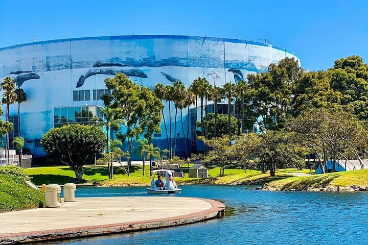 Swan Boat Rental at Rainbow Lagoon — Pedal the Long Beach Waterfront photo 2