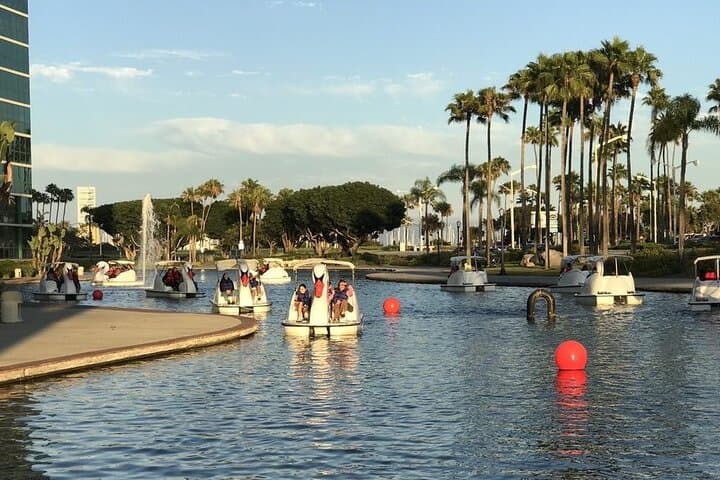 Swan Boat Rental at Rainbow Lagoon — Pedal the Long Beach Waterfront photo 4