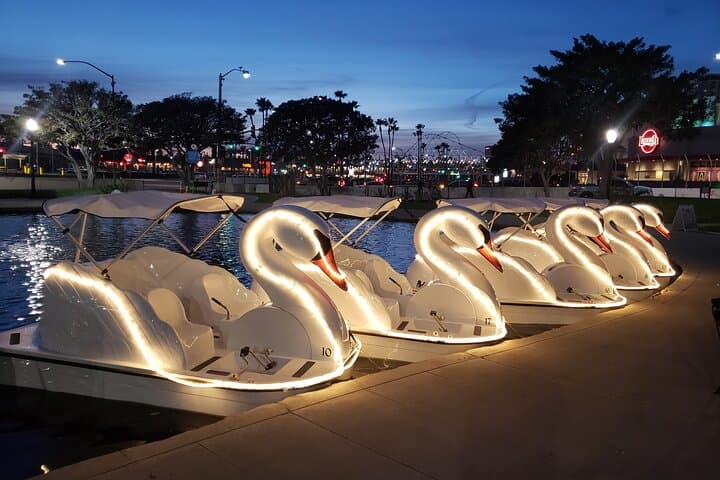 Swan Boat Rental at Rainbow Lagoon — Pedal the Long Beach Waterfront photo 5