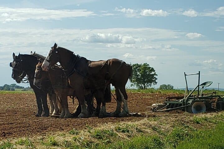 Authentic Lancaster & Amish Country Walking and Van Tour photo 3