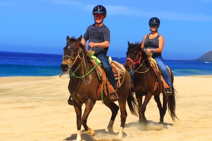Cabo ATV and Horseback Riding Combo in Migriño — Pacific Beach Desert Adventure photo 4
