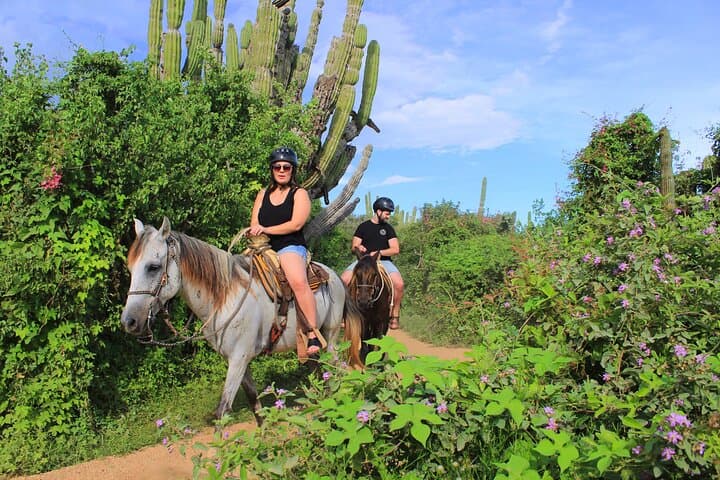 Cabo ATV and Horseback Riding Combo in Migriño — Pacific Beach Desert Adventure photo 5