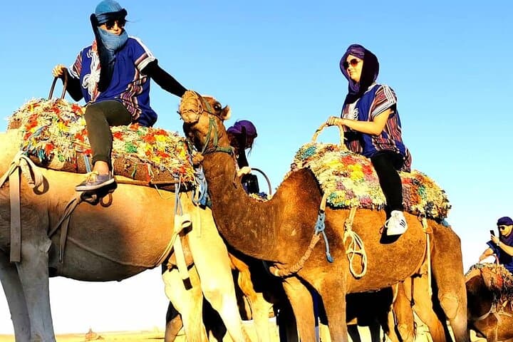 Full-Day Ait Ben Haddou and Telouat Kasbah Tour from Marrakech photo 5