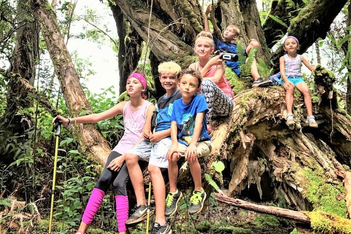 Cliff-Top Kauai: Private Waimea Canyon and Nāpali Coast Ridge Hike photo 4