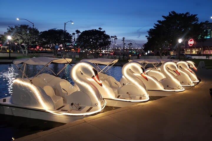 Night Swan Boat Rental on Rainbow Lagoon — Long Beach LED Paddle Experience