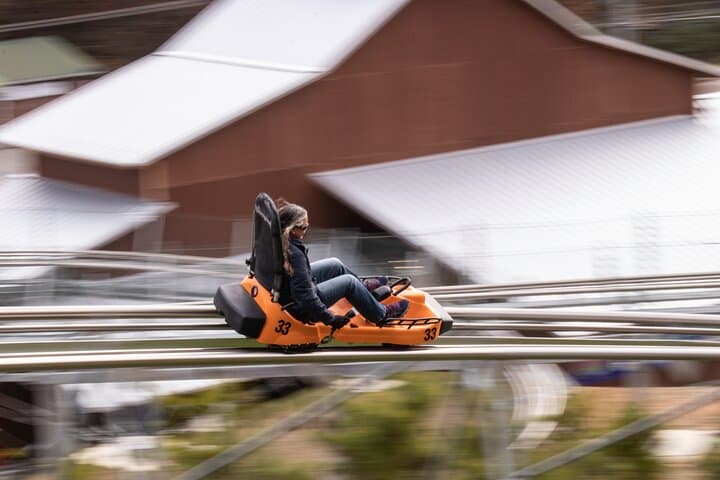 Rocky Top Mountain Coaster: Night and Day Thrills in the Smokies photo 3