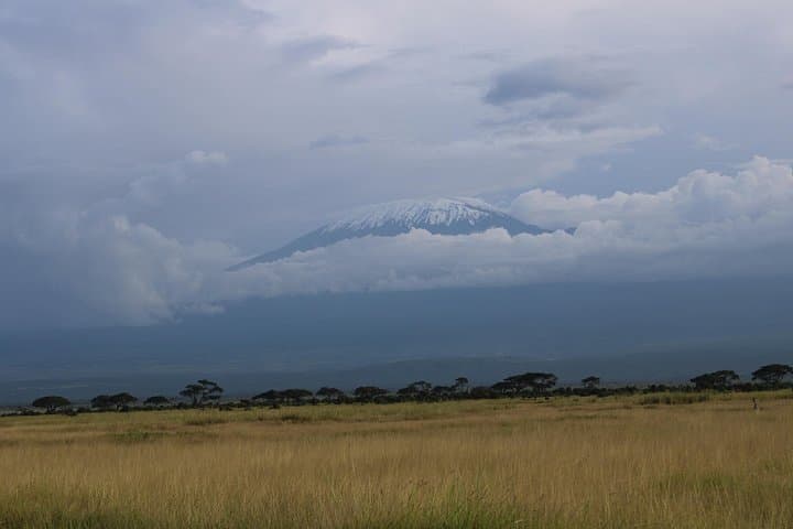 2-Day Private Safari to Amboseli National Park — Elephant Herds & Kilimanjaro Views photo 3
