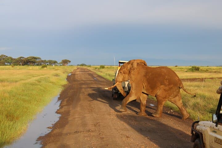 3-Day Amboseli Safari: Private 2-Night Expedition to See Elephants & Kilimanjaro photo 2
