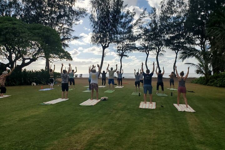 Oceanfront Morning Yoga on Kauai's East Shore photo 6