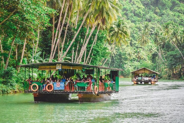 Day Trip to Bohol: Chocolate Hills, Tarsiers & Loboc River Cruise photo 5