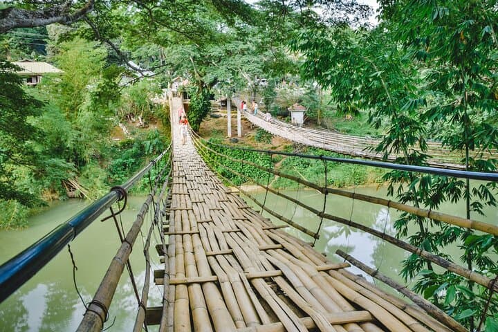 Day Trip to Bohol: Chocolate Hills, Tarsiers & Loboc River Cruise photo 6