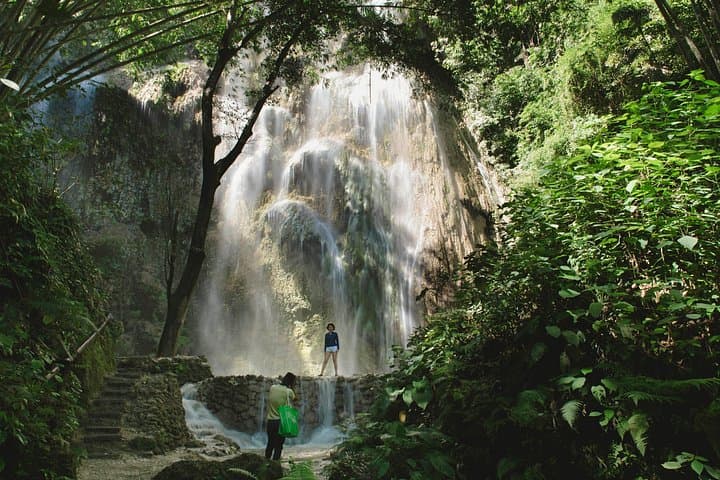 Swim With Oslob Whale Sharks and Visit Tumalog Falls: Day Tour from Cebu photo 4