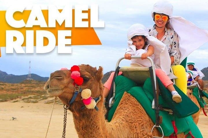 Sunset Camel Ride in Baja: Camel-Back Desert Tour Near San José del Cabo photo 1