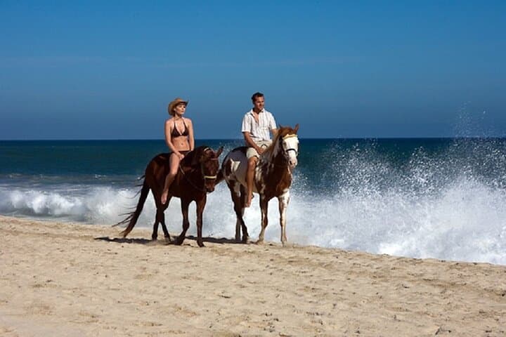Migriño Combo Adventure: ATV, Horse, Camel & E-Bike in Baja's Pacific Dunes photo 2