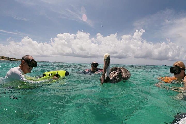 Seabob the Antilla Shipwreck: High-Speed Snorkel Tour in Aruba photo 5
