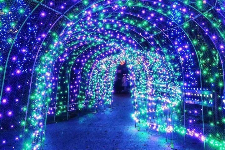 Vancouver Christmas Lights Private Tour — 3–4 Hour Evening Drive photo 3