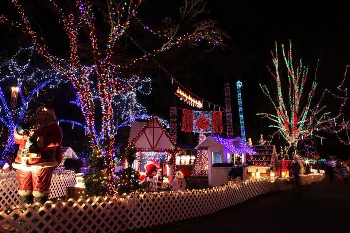 Vancouver Christmas Lights Private Tour — 3–4 Hour Evening Drive photo 4