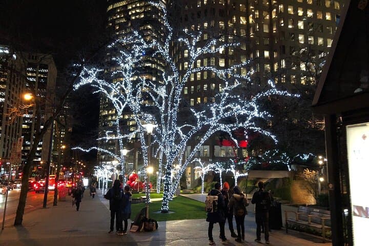Vancouver Christmas Lights Private Tour — 3–4 Hour Evening Drive