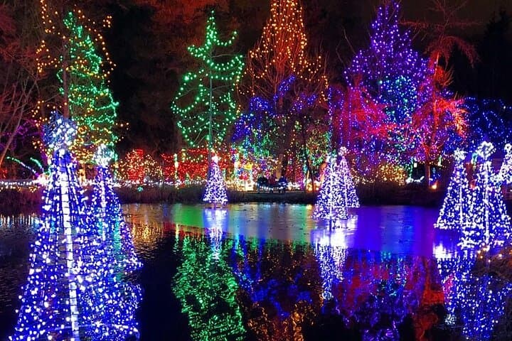 Vancouver Christmas Lights Private Tour — 3–4 Hour Evening Drive photo 5