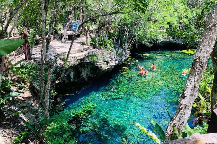 Explore Tulum Ruins and Swim a Cenote: Private Day Trip from Riviera Maya photo 6
