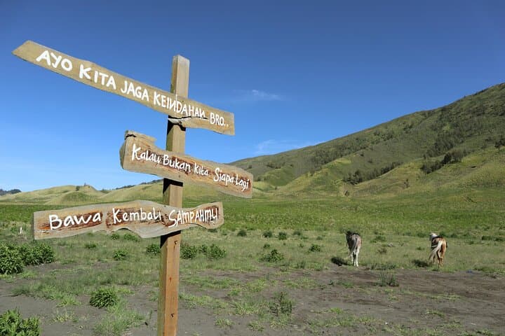 Bromo Morning Panorama: 1-Day Sunrise Jeep Tour from Malang photo 4