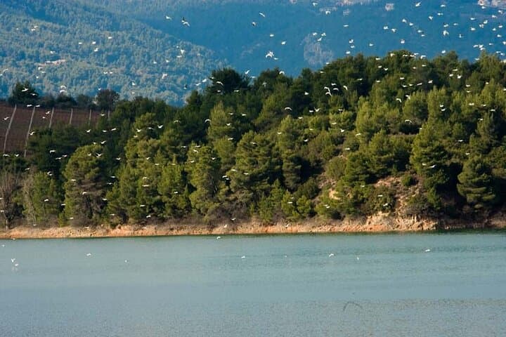 Half-Day Marathon Private Tour: Marathon Tomb, Marble Dam & Museum from Athens photo 2